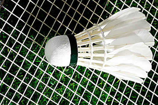 其裁判機制 其裁判機制