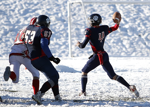 水户蜀葵暂 水户蜀葵暂