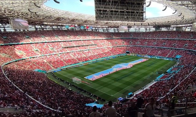 内部青训体 内部青训体