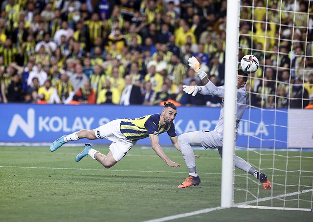 他的职业寿 他的职业寿