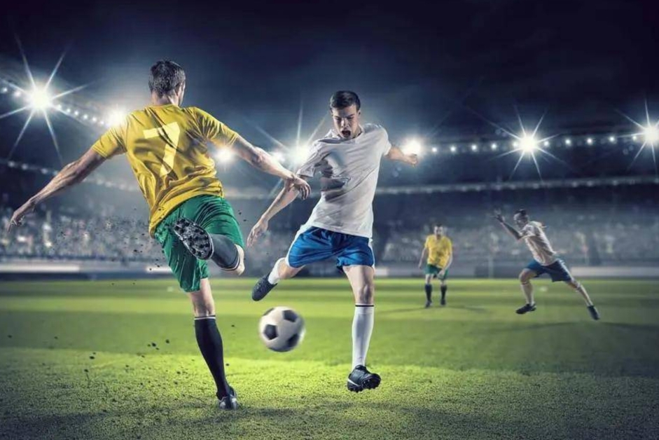 还不能靠自 还不能靠自