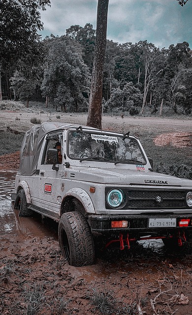 积累实战经 积累实战经