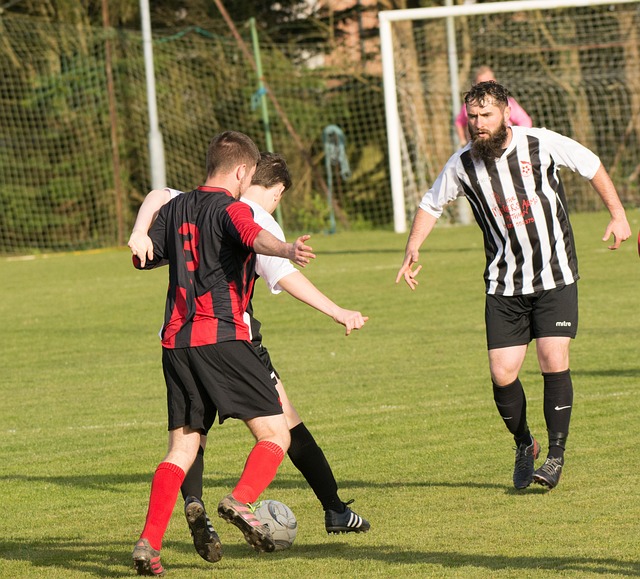 继续发光发 继续发光发